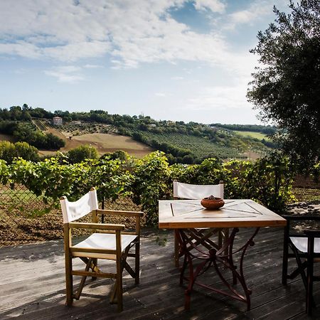 B&B Il Cavallino 시비타노바 알타 외부 사진