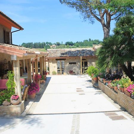 B&B Il Cavallino 시비타노바 알타 외부 사진