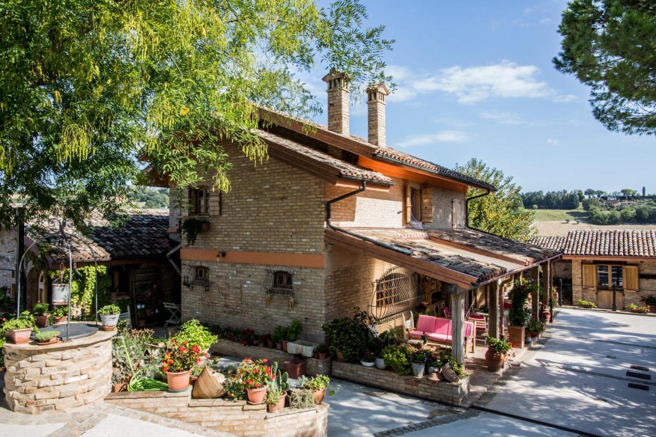 B&B Il Cavallino 시비타노바 알타 외부 사진