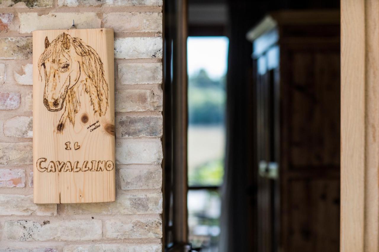 B&B Il Cavallino 시비타노바 알타 외부 사진
