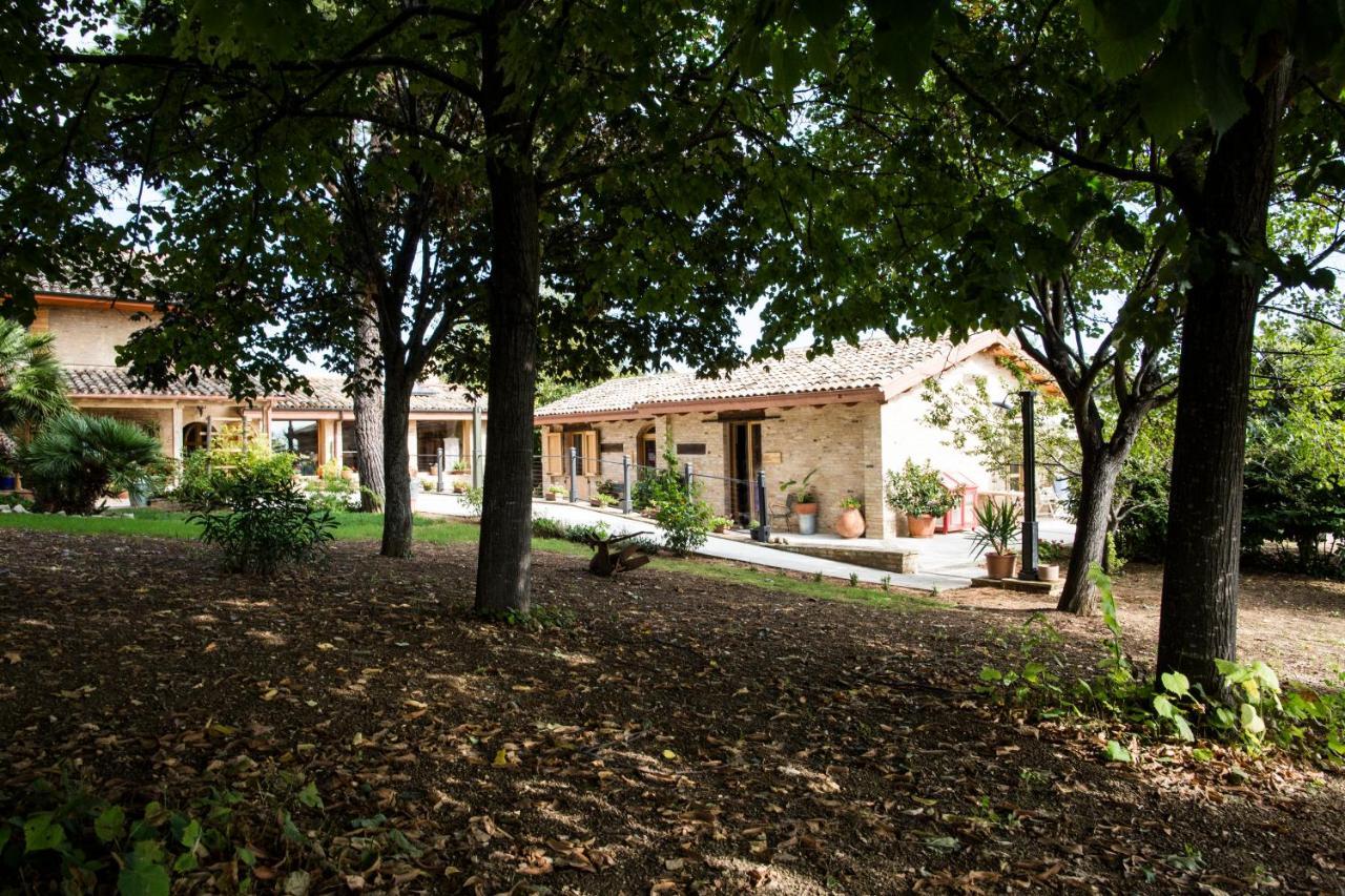 B&B Il Cavallino 시비타노바 알타 외부 사진